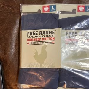 Duluth Trading Co. men’s Free Range Organic Cotton Brief 3 briefs